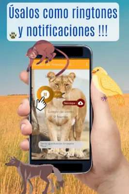 Sonidos de Animales. Ringtones android App screenshot 11